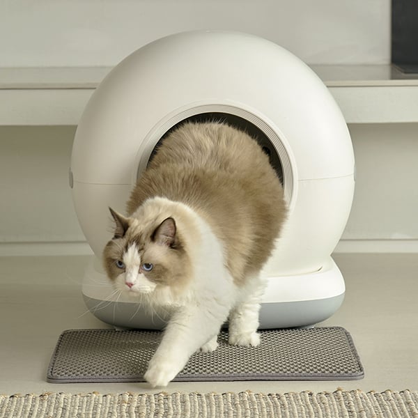 [페페] 고양이 IoT 스마트 자동 화장실